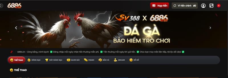 Cách đá gà trên mạng luôn luôn thắng