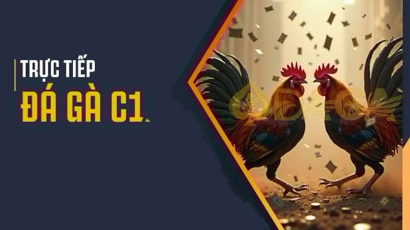 Lý do kê thủ nên tham gia tại đá gà trực tiếp c1