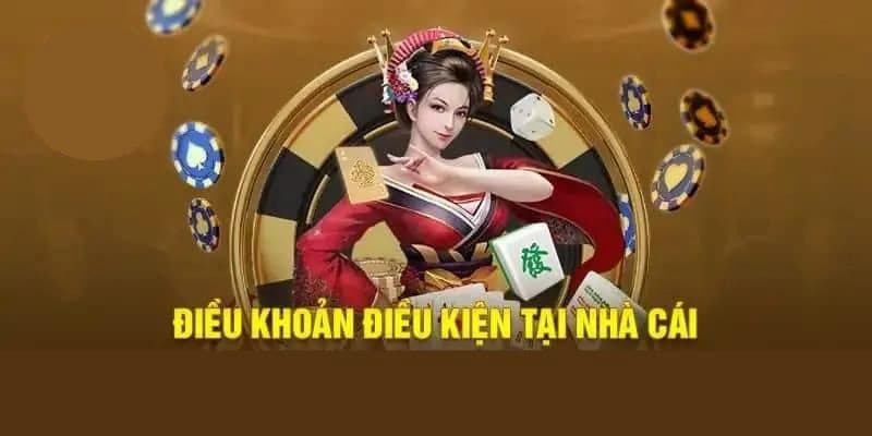 Điều khoản và điều kiện khi giải quyết tranh chấp