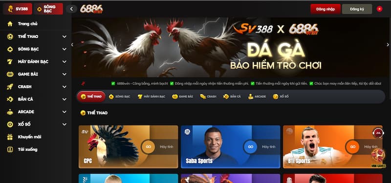 Giới thiệu các kèo đá gà trực tiếp