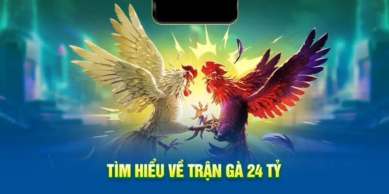 Giới thiệu sơ lược trận đá gà 24 tỷ