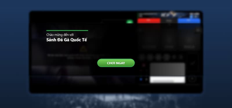 Cách tham gia xem đá gà hay nhất tại 6886WIN